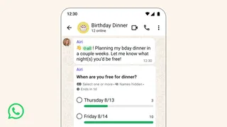 Ecran WhatsApp montrant une mention @all et un sondage de groupe avec vote anonyme et date de fin