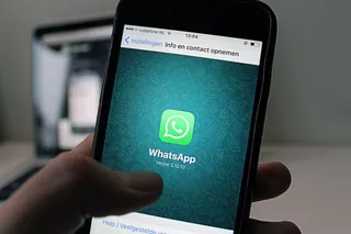Logo WhatsApp affiché sur l'écran d'un smartphone